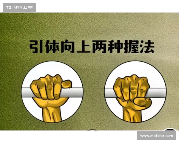 功能性训练：提升身体机能与运动表现的全方位训练方法与应用解析